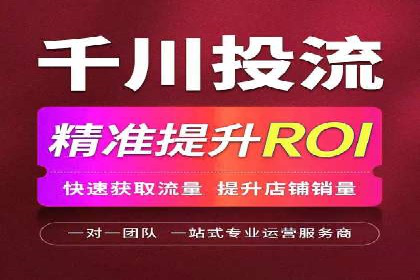SEO与SEM服务结合的实战案例